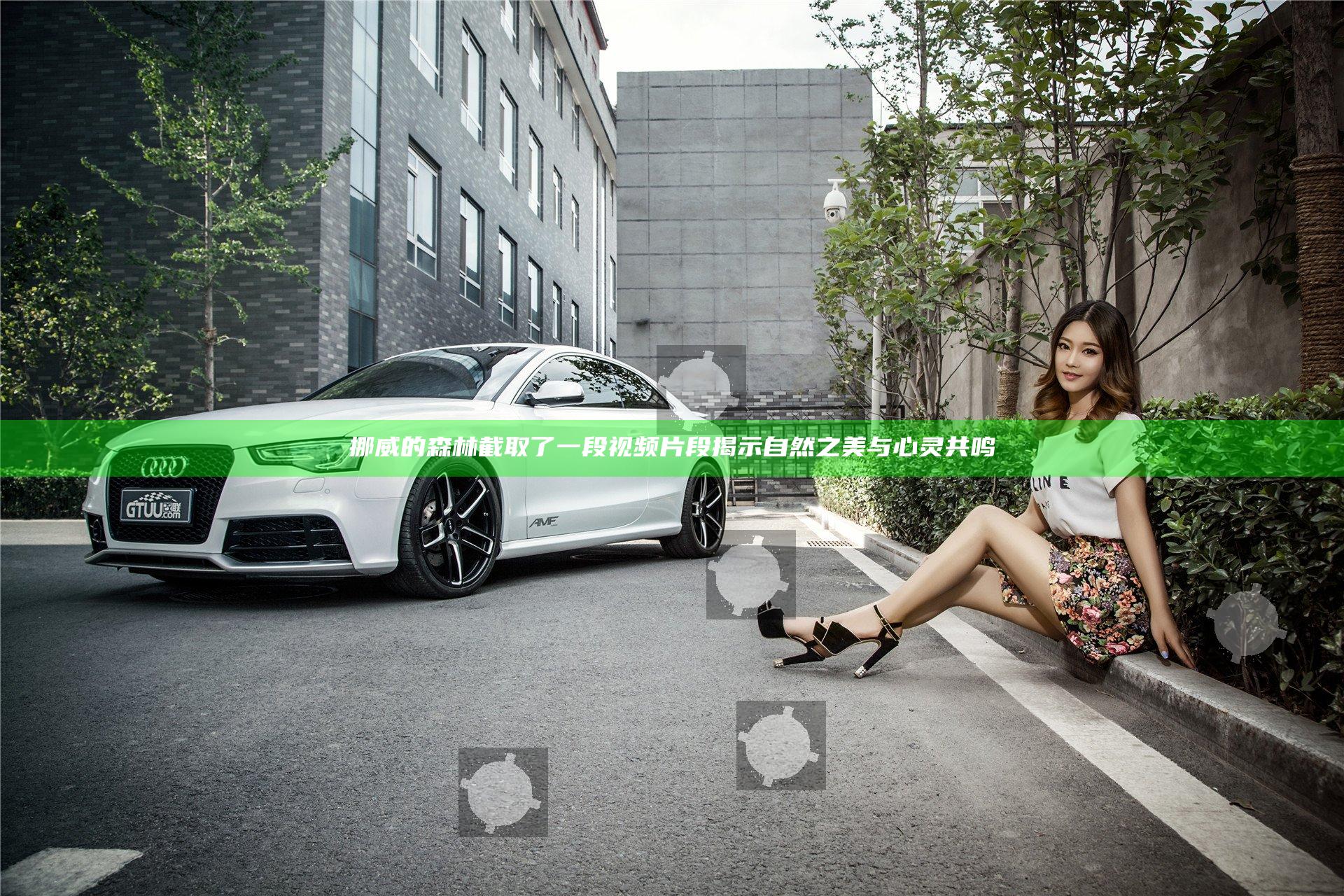 挪威的森林截取了一段视频片段 揭示自然之美与心灵共鸣
