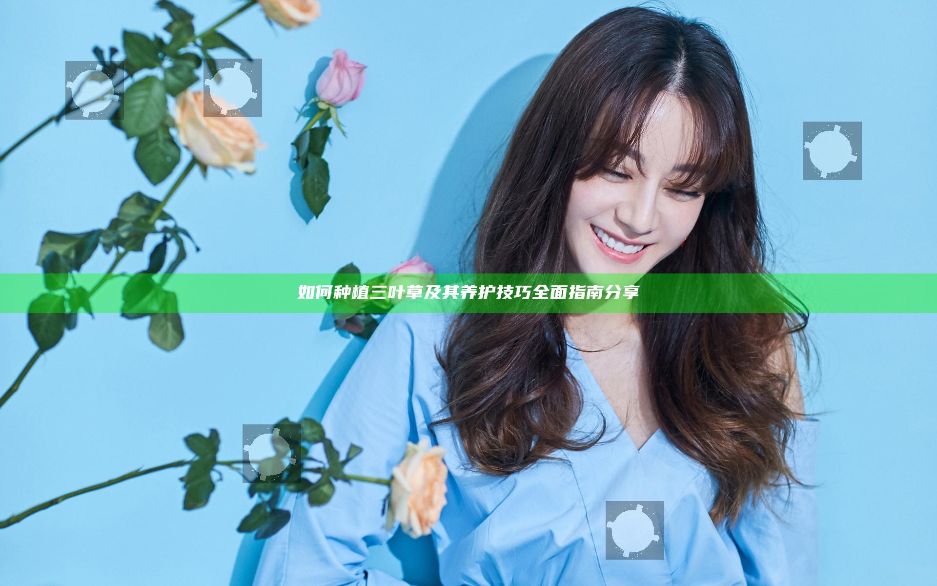 如何种植三叶草及其养护技巧全面指南分享