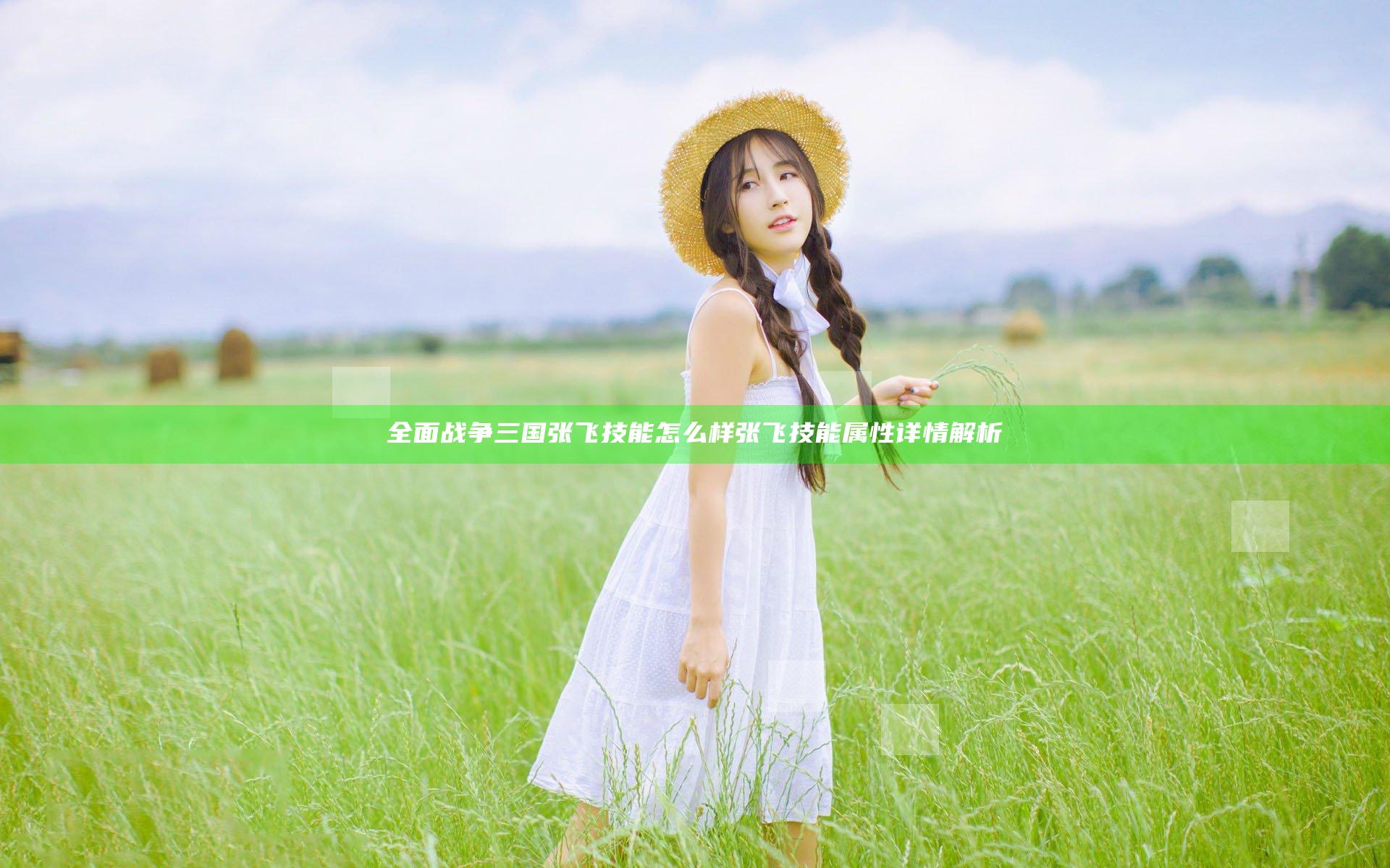 全面战争三国张飞技能怎么样 张飞技能属性详情解析