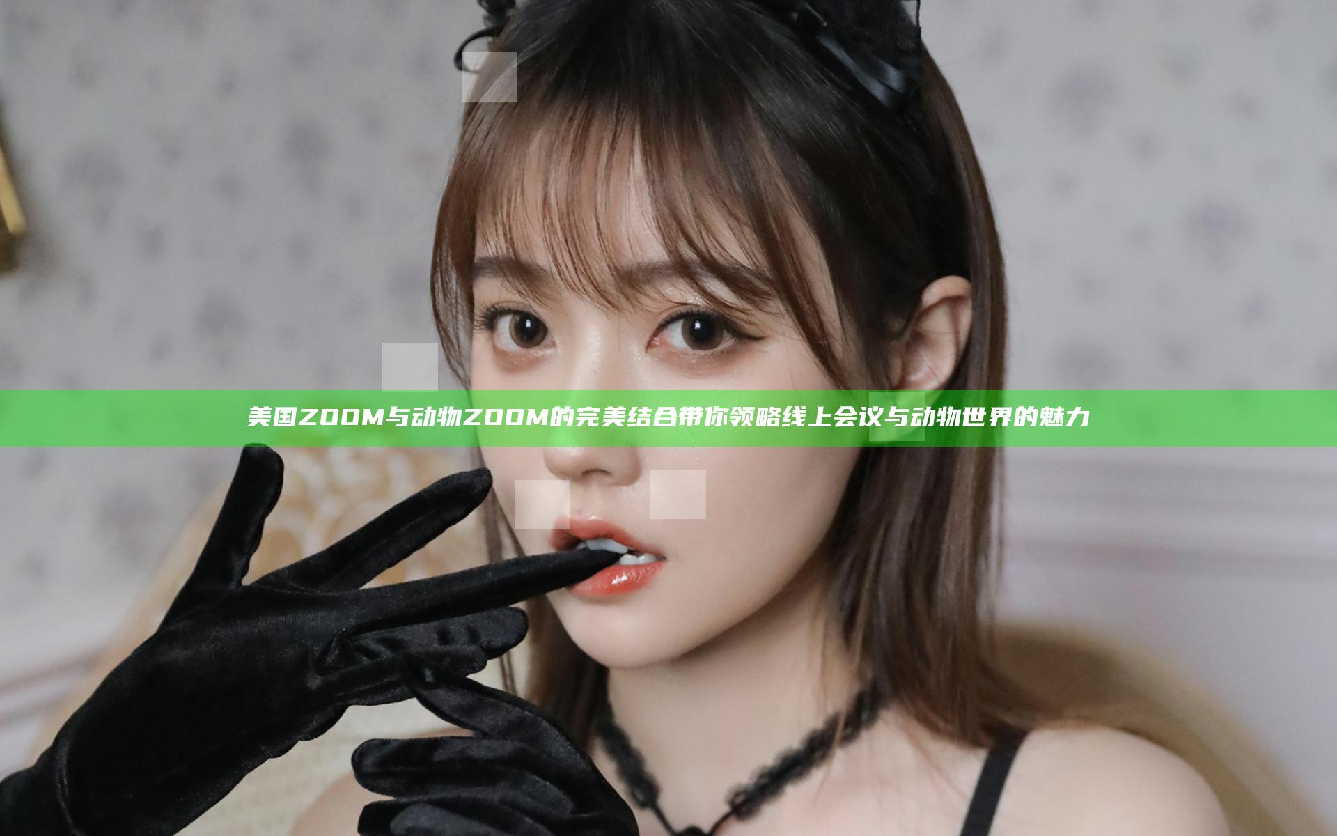 美国ZOOM与动物ZOOM的完美结合带你领略线上会议与动物世界的魅力