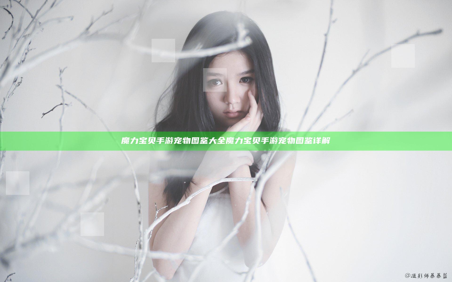 魔力宝贝手游宠物图鉴大全 魔力宝贝手游宠物图鉴详解